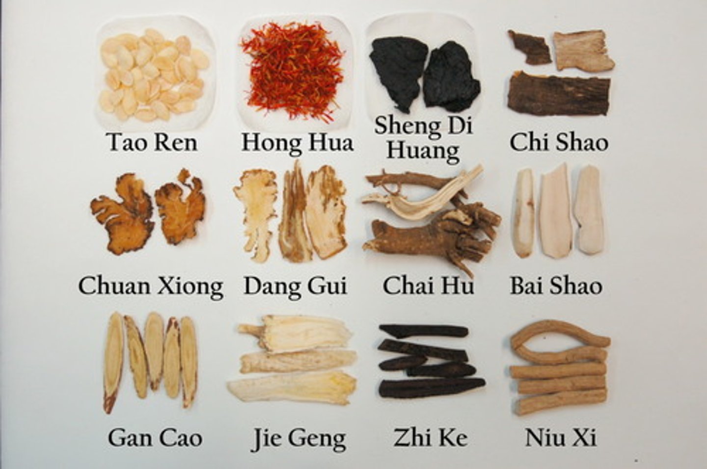 <p>Thảo mộc</p>