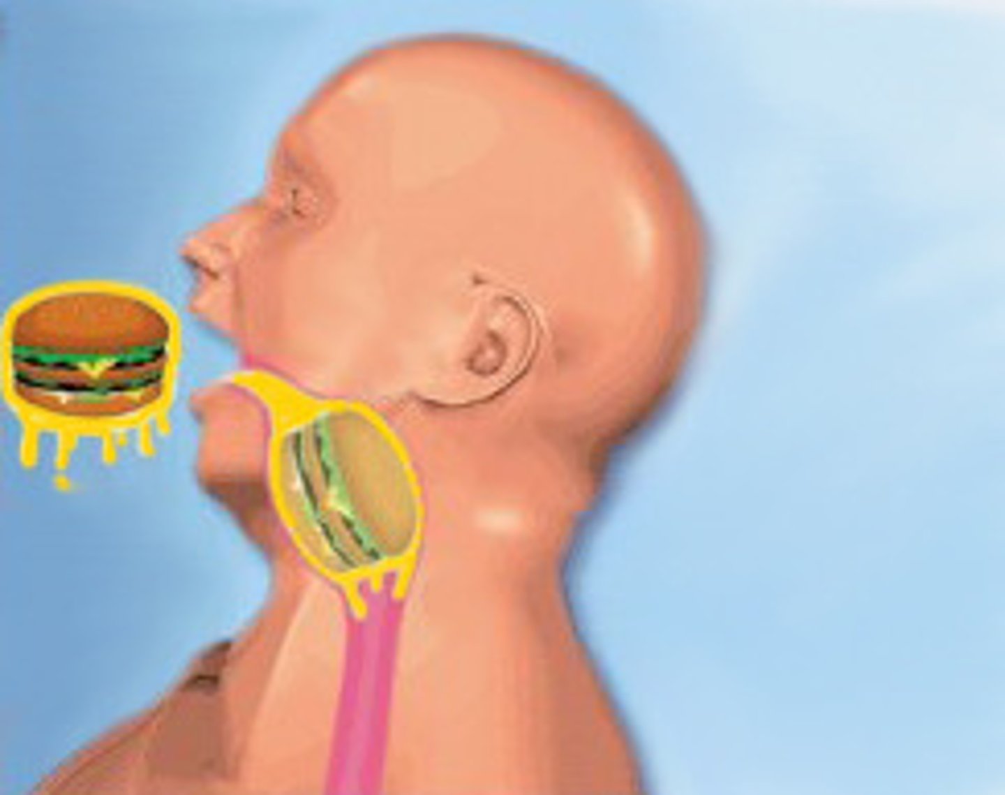 <p>to swallow</p>