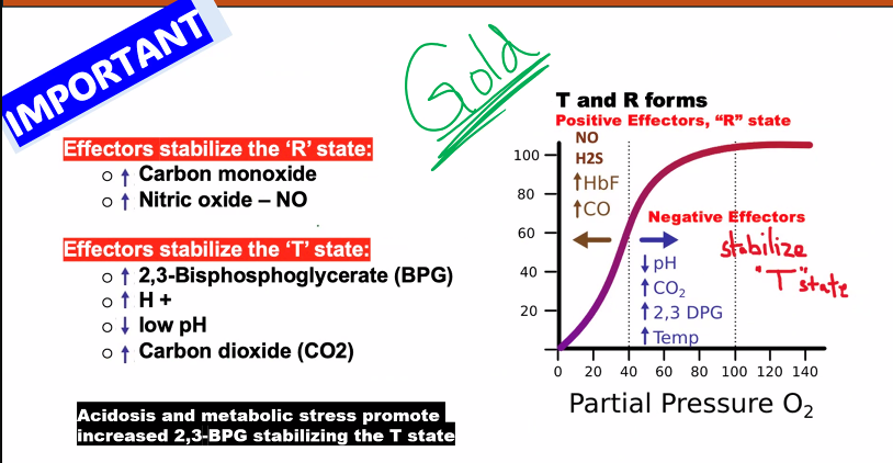 <p>MEMORIZE THIS. </p>