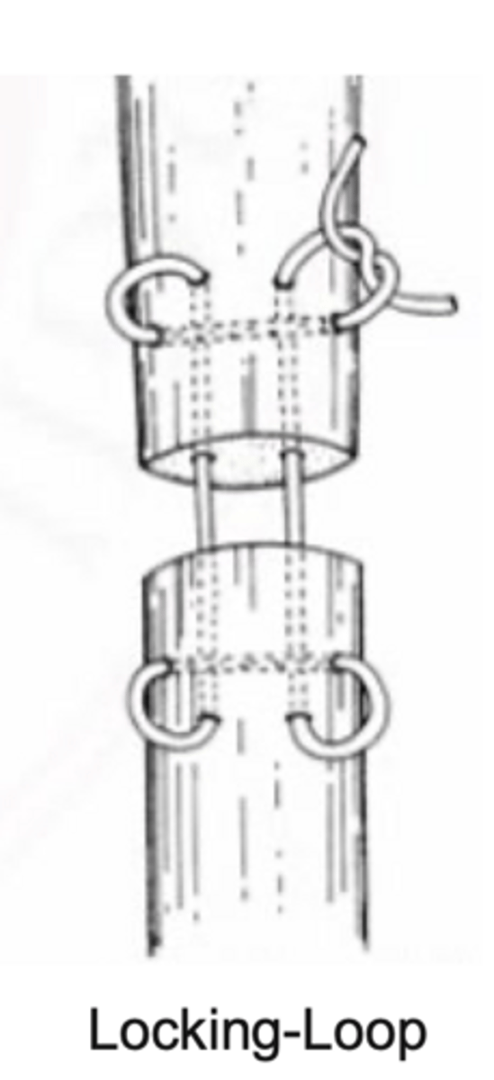 <p>what ligament/tendon suture pattern is shown here that is ideal for flat tendon/ligaments</p>