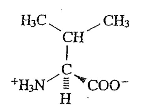 <p>Name</p><p>nickname</p><p>Type</p><p>Located where?</p><p>pka of side chain</p><p>type of side chain (OH,SH,NH?)</p><p>charge progression (0→-1,+1→0)</p>