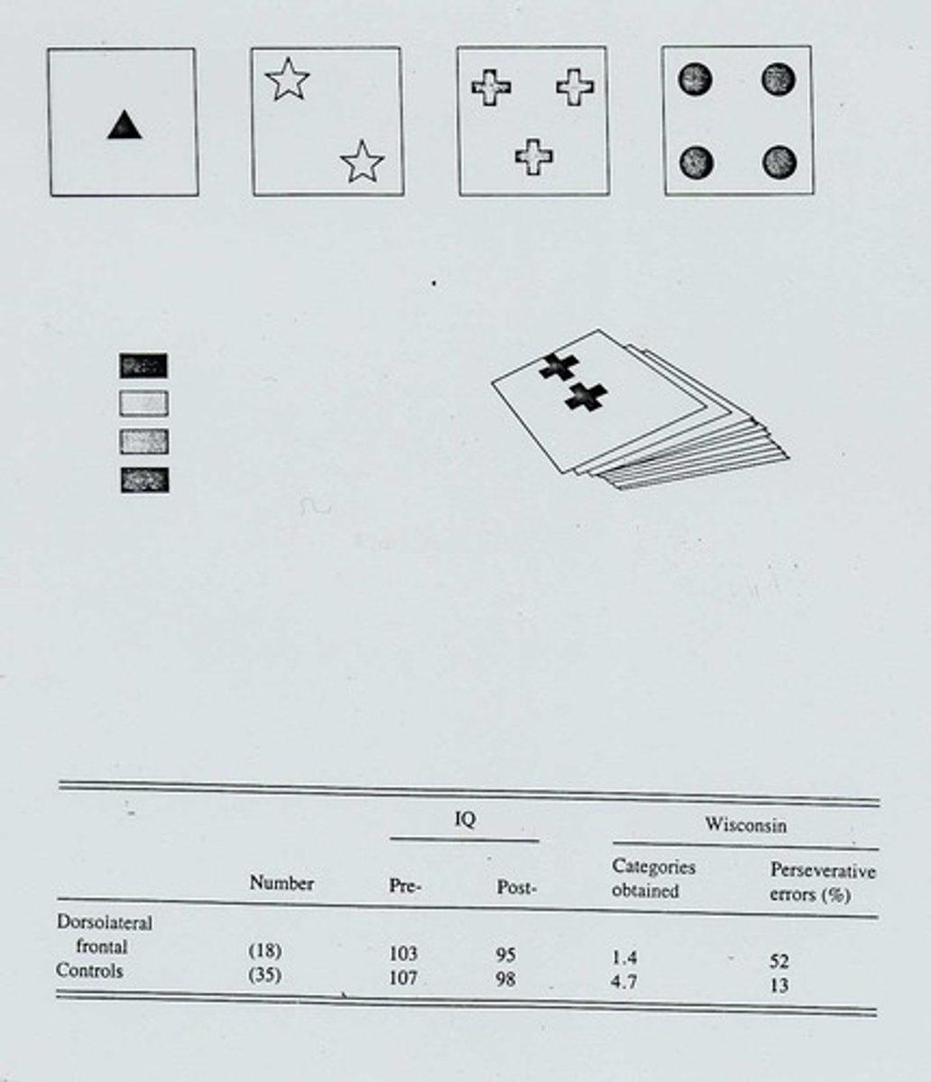 <p>Measures cognitive flexibility and rule-switching ability.</p>