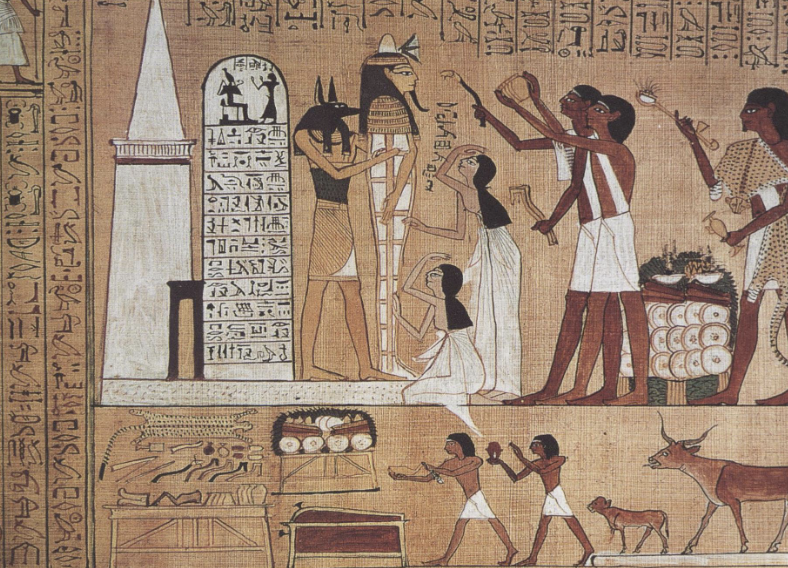 <p>opening of the mouth </p>