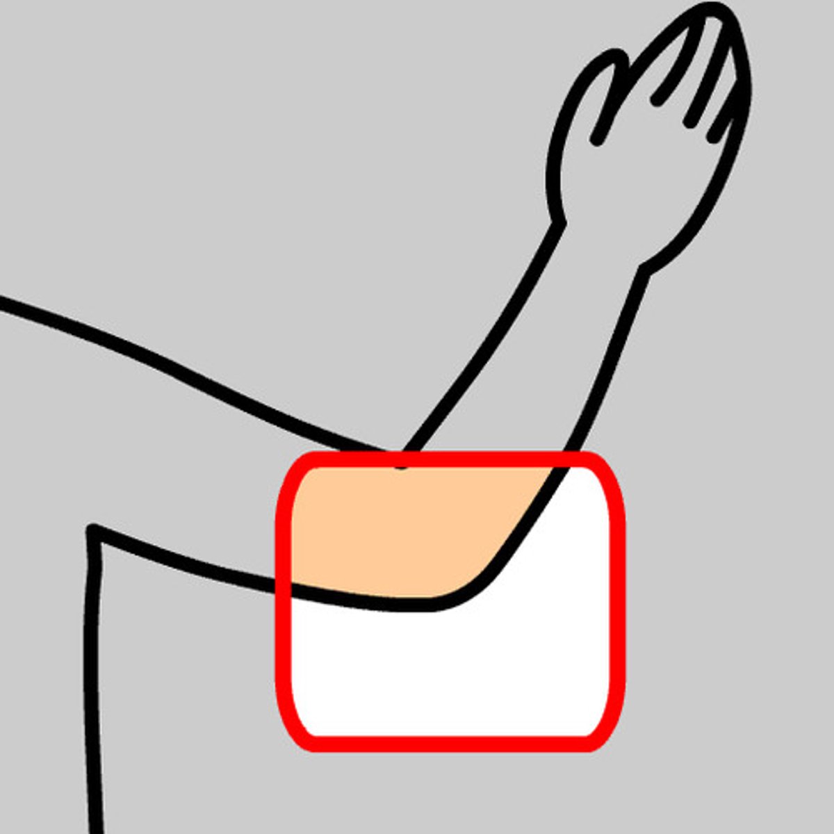 <p>elbow</p>