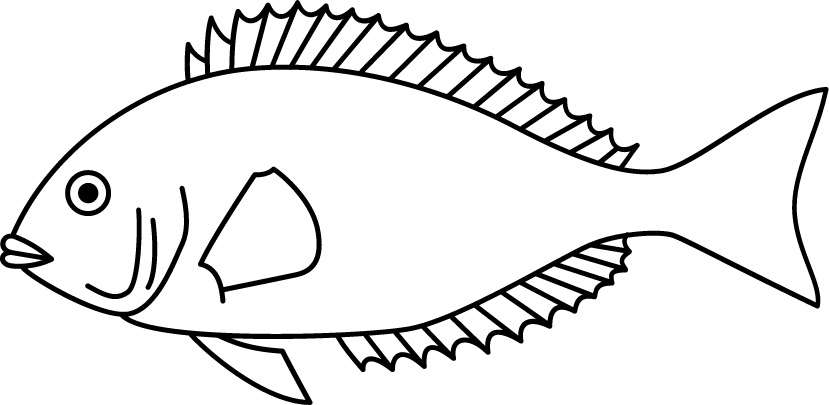 <p>Rabbit-like mouth<br>Size: 20 cm</p>