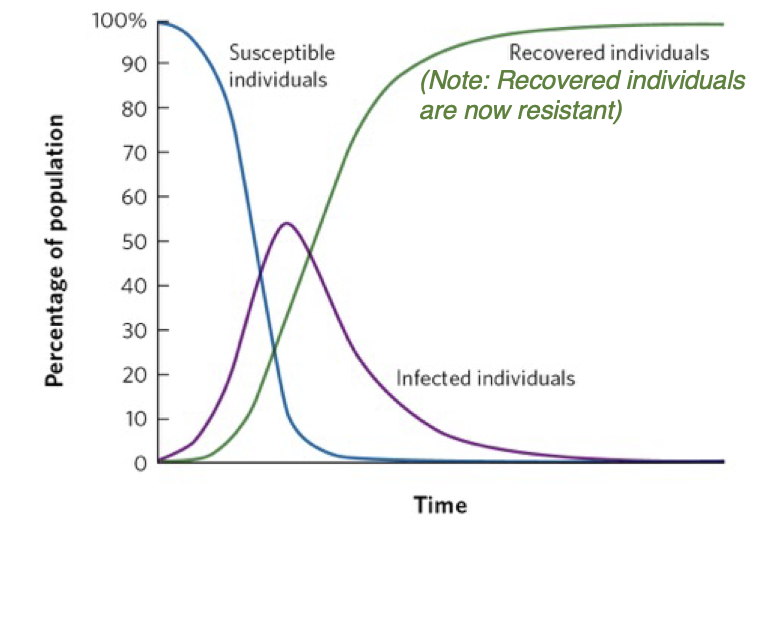 <p>what model does this graph represent </p>