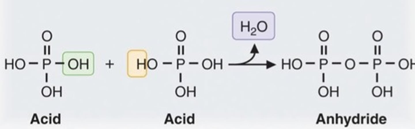 <p>a substance that vigorously reacts with most metals to produce hydrogen, readily conducts electricity, turns litmus red, and has a pH less than 7; typically corrosive or sour-tasting.</p>