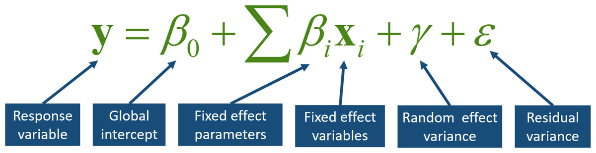 <p>standardized behavioral assays: open field, novel object, preference, common garden</p><p>statistical framework: mixed effects regression models</p>