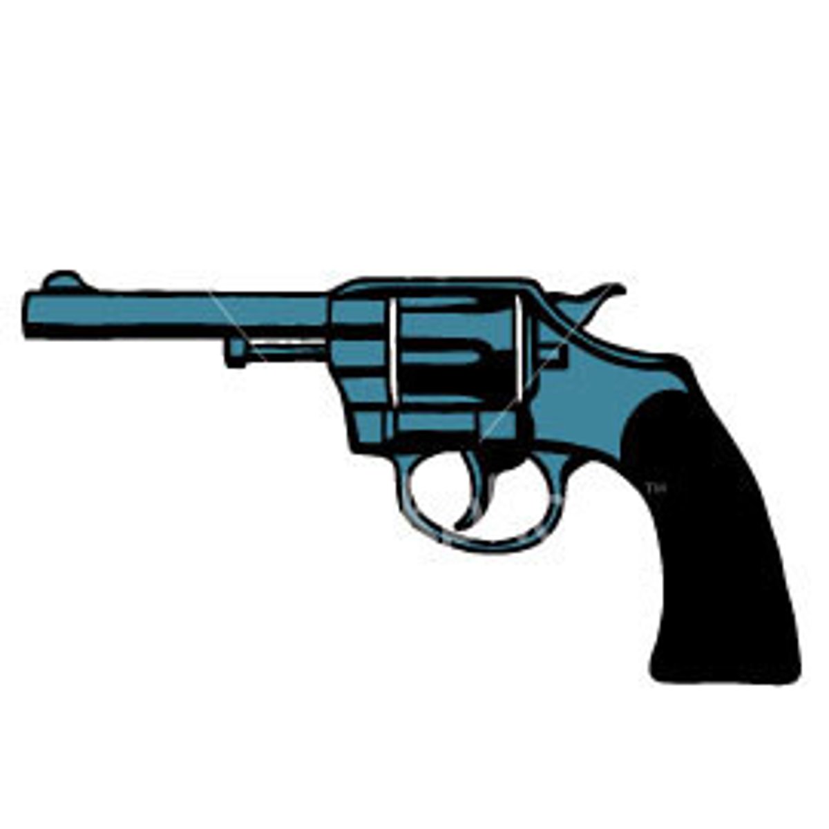 <p>Right to bear arms.</p>