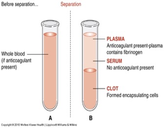 <p>Whole Blood -- Cells and liquid not separated.</p><p>Serum -- Centrifuged liquid from clotted blood</p><p>Plasma -- Centrifuged liquid from anticoagulated blood.</p><p>Urine -- Random  vs. timed (usually 24 hrs)</p><p>Other Fluids – Cerebrospinal fluid (CSF), Amniotic fluid, saliva etc</p>