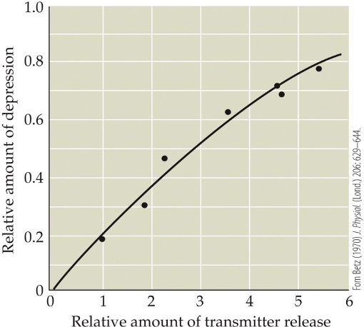 <p>Which statement describes the depicted phenomenon most accurately?</p><ol><li><p>Synaptic depression directly correlates with the amount of neurotransmitter released.</p></li><li><p>Synaptic depression directly correlates with the concentration of extracellular Ca2+.</p></li><li><p>Synaptic depression is inversely correlated with the amount of neurotransmitter released.</p></li><li><p>Synaptic depression depends on the rate of neurotransmitter release.</p></li><li><p>Synaptic depression depends on the concentration of neurotransmitter in synaptic vesicles.</p></li></ol><p></p>