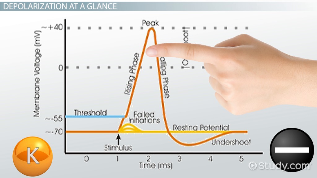 <p>Moves toward zero and above </p>