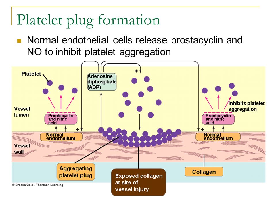 <ul><li><p>Not factor-specific; interferes with phospholipid-dependent coag assays</p></li><li><p>Binds phospholipid in <strong>test systems</strong> but not to platelets themselves</p></li><li><p><strong>Prolongs APTT</strong> in vitro</p></li><li><p>Not associated with bleeding</p></li></ul><p></p>