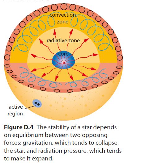 * the reason why stars don’t collapse is because there’s opposing pressures 
* radiation and gravity 