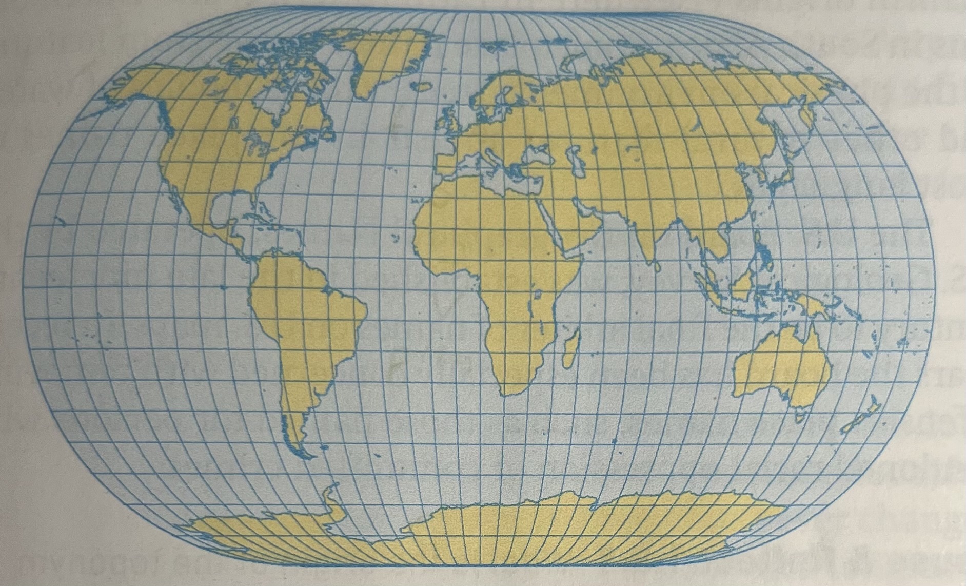 <p>Name this projection &amp; distortions</p>