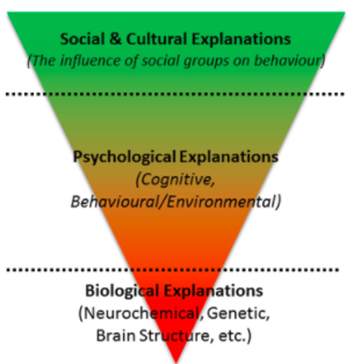 <p>3) The idea that there are several ways (levels) that can be used to explain behaviour</p><p>Lowest = Biological Explanations</p><p>Middle = Psychological Explanations</p><p>Highest = Social and Cultural Explanations</p><p>- If we accept there are diff factors that contribute to e.g. Depression it's difficult to know which is most influential, so difficult to know which to priorities > lacks feasibility</p><p>+ Rogerian therapy; considers the whole person making treatment more effective > Smith et al. did a meta-analysis of 475 studies found client-centered therapy to be effective</p><p>+ Flexible can explain why people w similar biology behave diff as it doesn't solely look at bio implications in behavior but also environmental and others. Nestadt et al; 68% concordance rate for OCD in MZ twins compared to 31% in DZ twins shows that biological reductionism alone can’t explain behaviour</p>