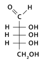<p>What is the name of this structure?</p>