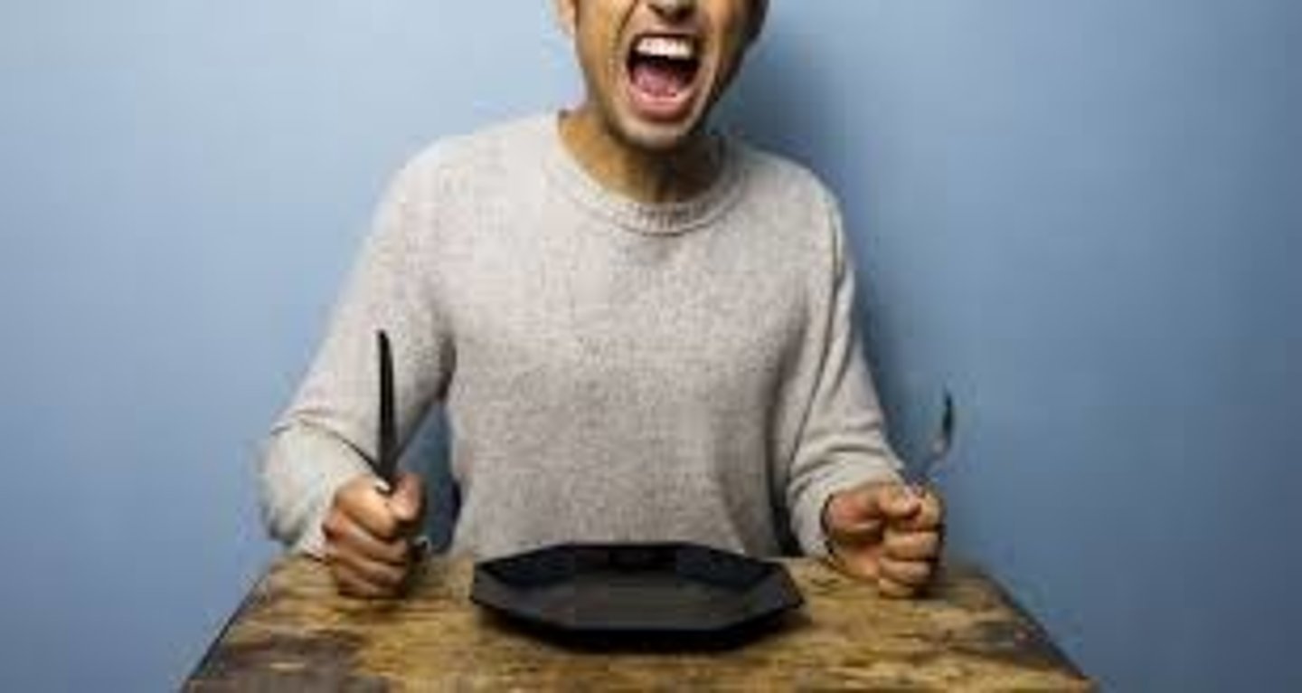 <p>nạn đói, sự đói</p>