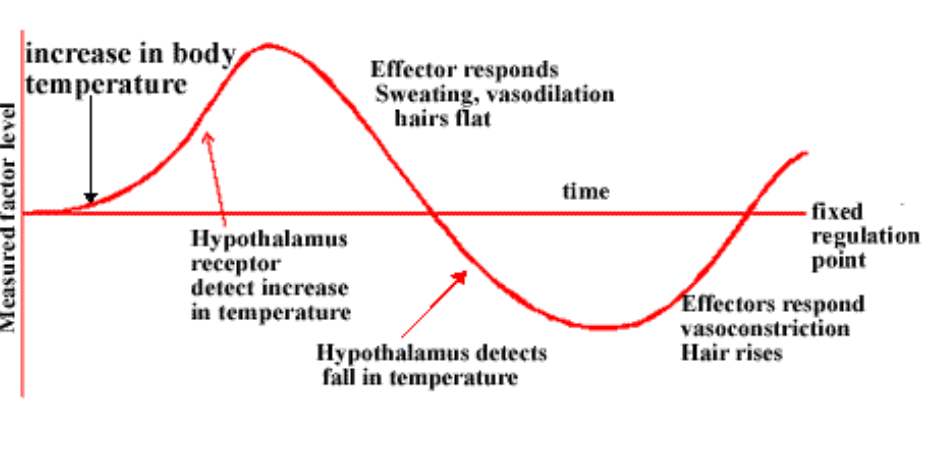 <p>DIAGRAM ON SLIDE 15</p>