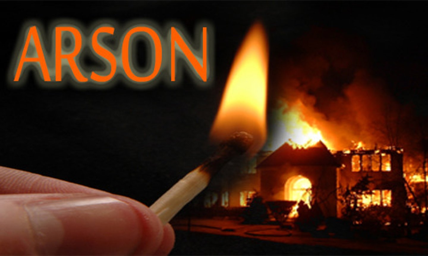 <p>arson</p>