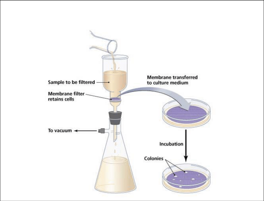 <p>processing water samples to find bacteria</p><p>collection and concentration of bacteria via filter</p><p>cultured after completion</p>