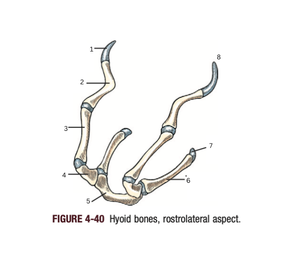 <p>1</p>