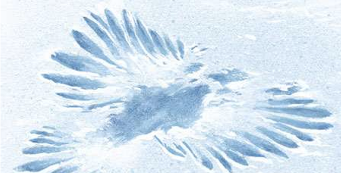 <p>If you find large tail and wing prints in snow (top), you have probably found a strike mark made by a</p>