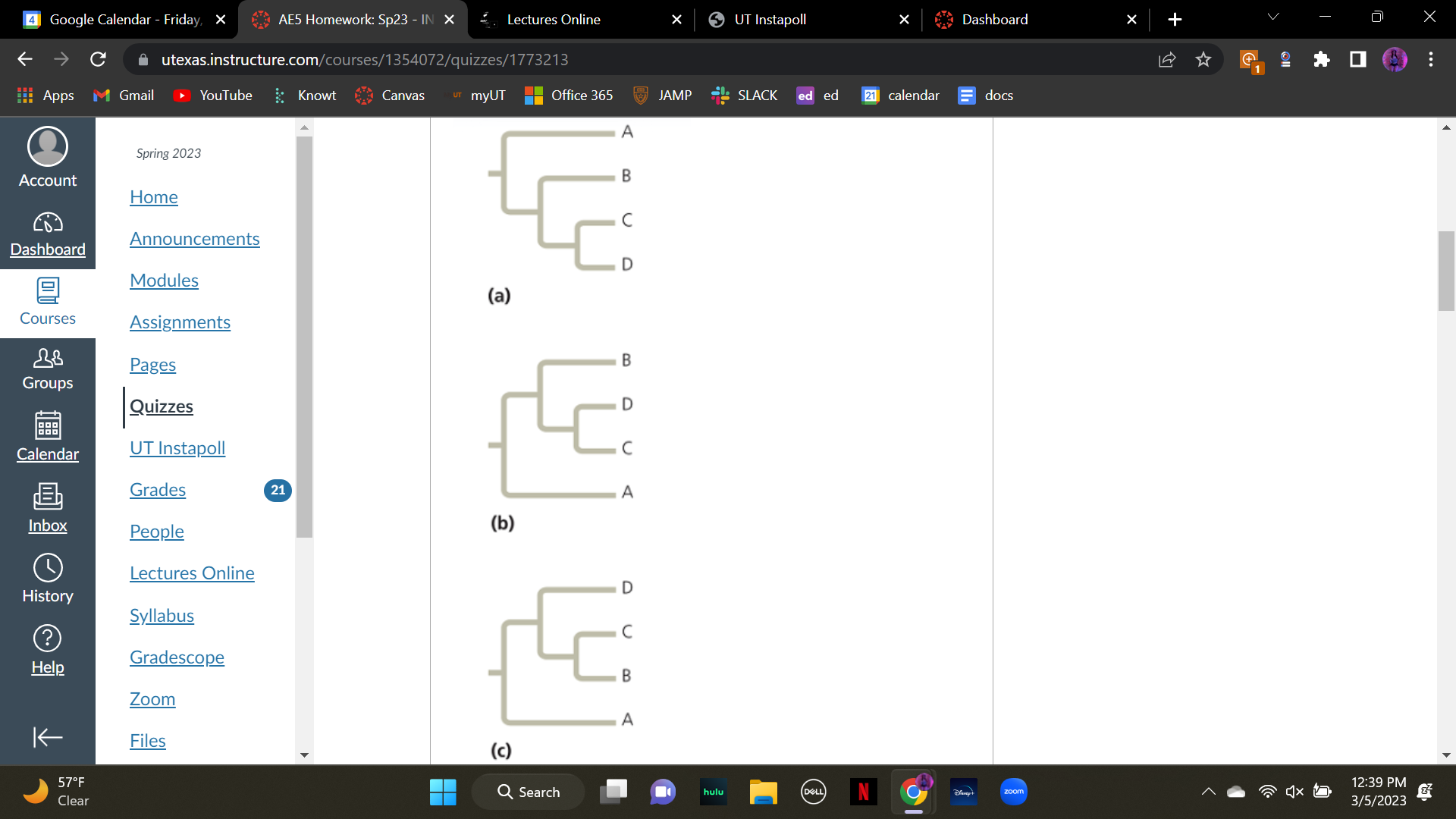 Which of the trees shown here depicts an evolutionary history different from the other two? Why? \n 

 

A. (a) because it lists the letters in order from top to bottom, unlike the other two trees

 

B. (b) because the letters are not in sequence, unlike the other two trees

 

C. (c) because sister taxa are C and D unlike the other two trees