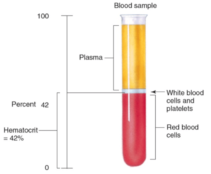 <p>The percent of blood volume that is composed of red blood cells (normal is around 45%-50%)</p>