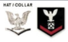 <p>Perched Eagle, Specialty Mark, 1 Chevron</p>