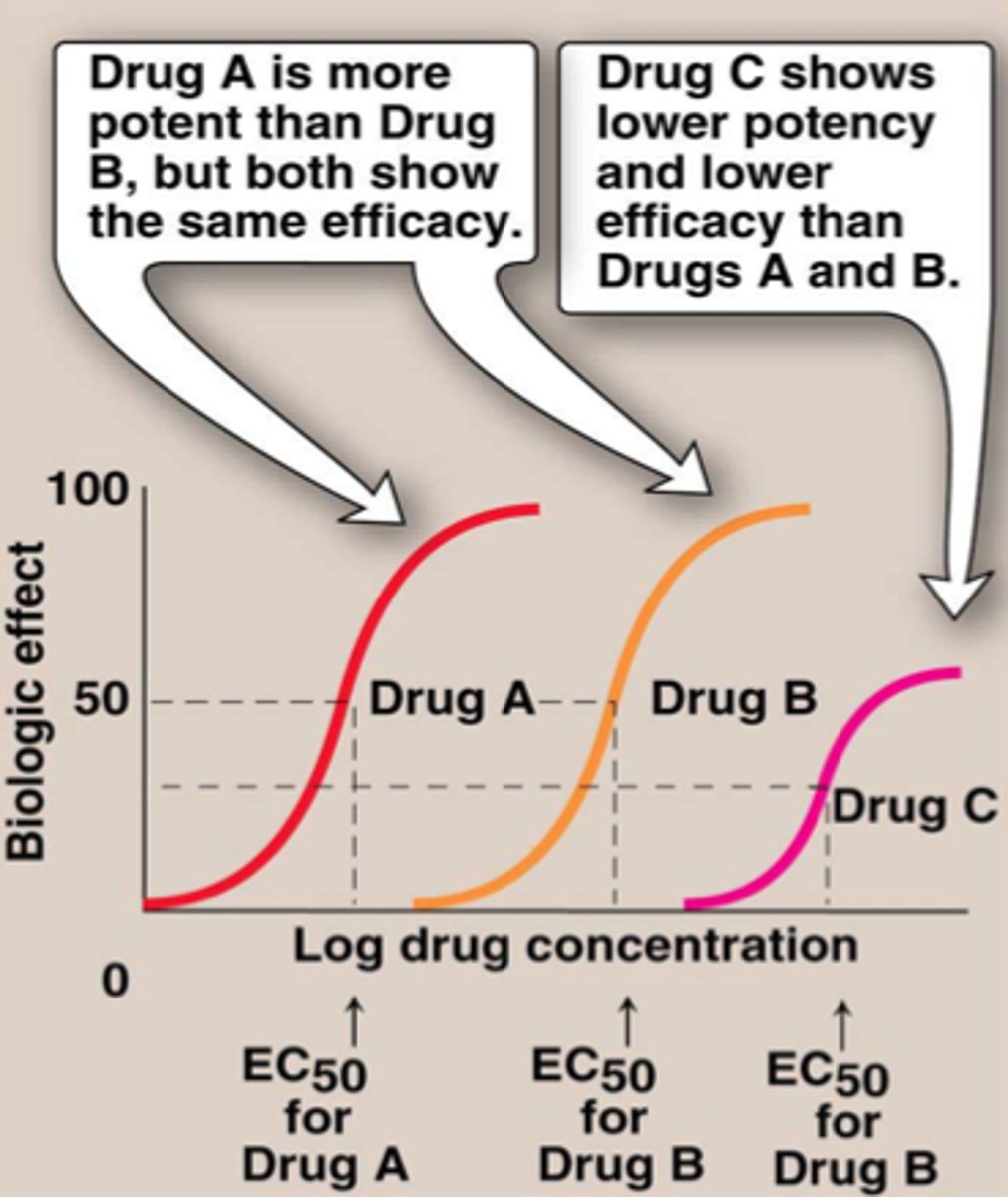 <p>yes. just need more doses of the less potent drug, but they can both reach the same efficacy</p>