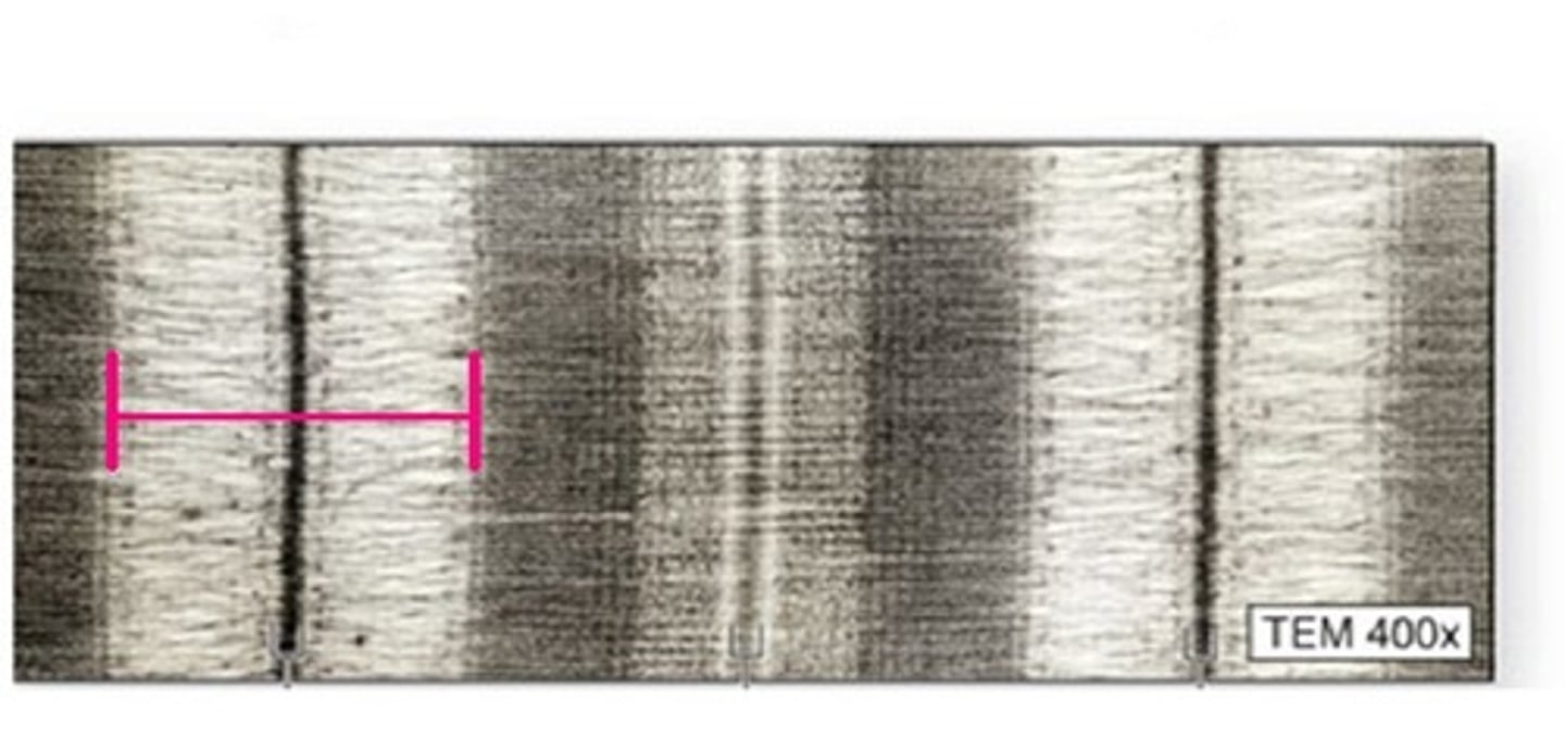 <p>actin filaments (thin)</p>