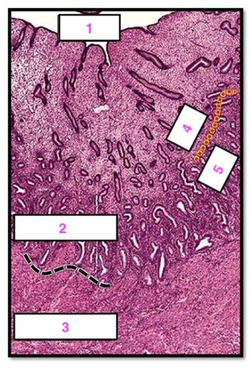 <p>2</p>