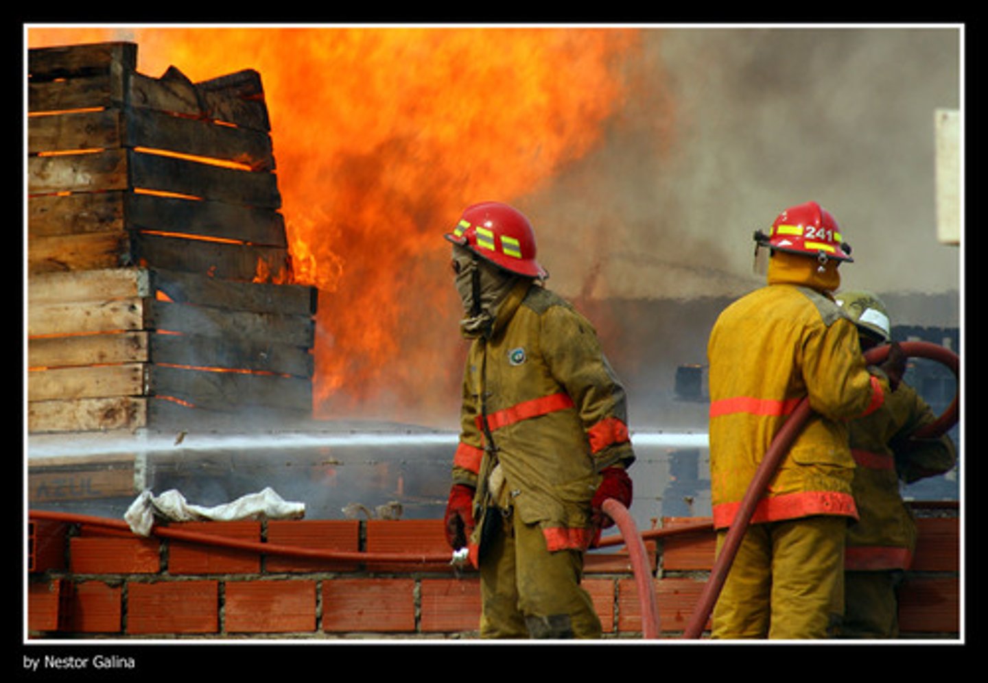 <p>firefighter</p>