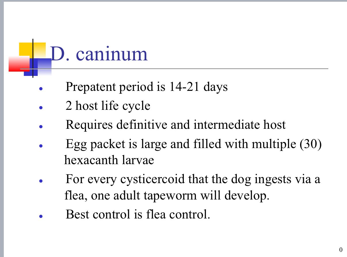 <p>Prepatent = presence of adult in host </p><p>A lot of dewormers don’t kill tapeworms </p><p></p>
