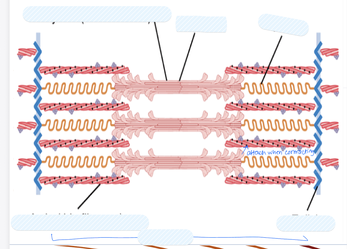 <p>Label each part in the diagram</p>