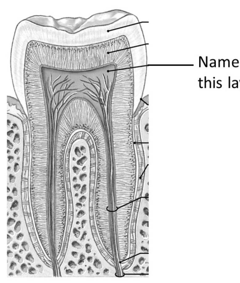 <p>What is this space the layer is in&nbsp;</p>