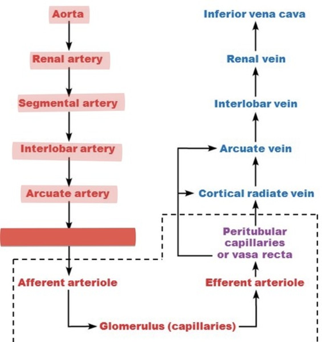 <p>What is this?</p>