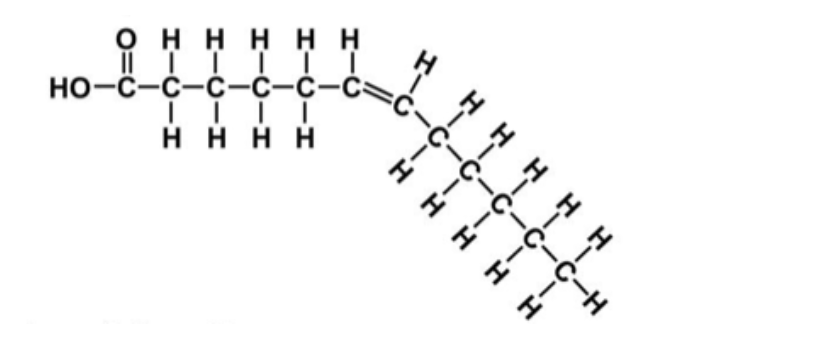 <p><span>Based on the structure of the fatty acid below, select all of the qualities that would be </span><strong>TRUE</strong><span>.</span></p>