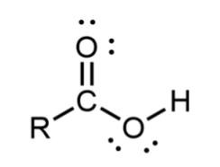 <p>Carbonyl carbon bonded to a hydroxyl group; found at the end of a molecule</p>