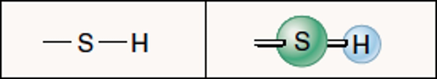 <p>-SH, in some proteins</p>