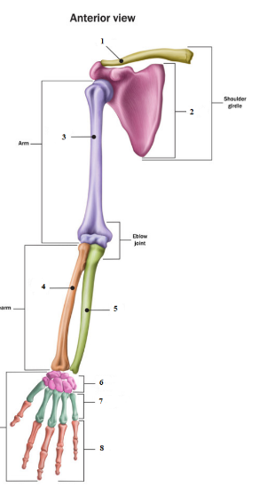 radius