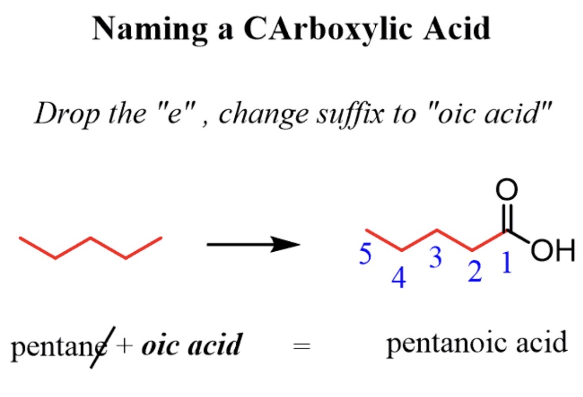 <p>state carbon chain then add a dioic acid&nbsp;</p>