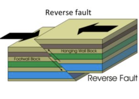 <p>when rock is compressed(pushed) together  </p>