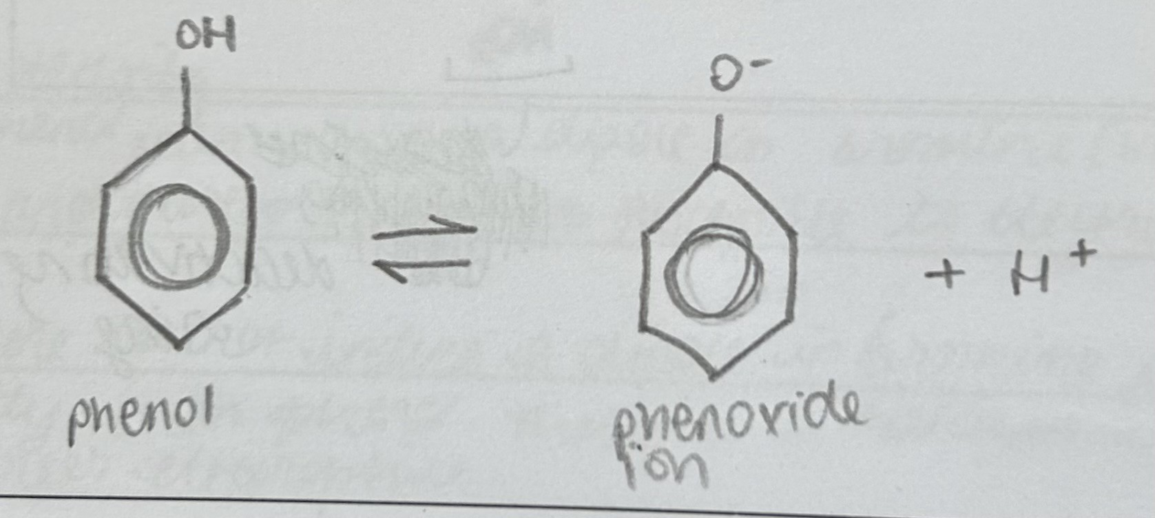 <ul><li><p>Turns orange</p></li></ul><p>phenol is a weak acid with a pH of 5-6 and therefore turns universal indicator a orange colour. It partially dissociates in aqueous solution, therefore there is a higher concentration of phenol compared to the phenoxide ion </p><p></p>