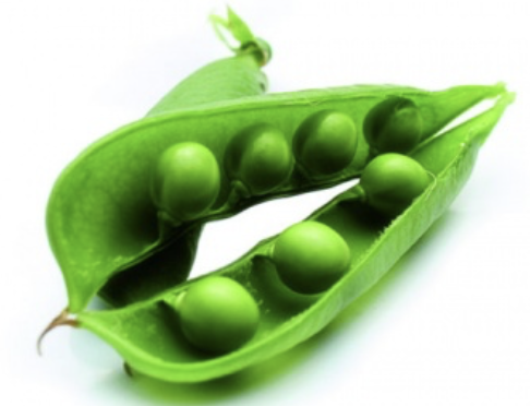 <p>peas</p>