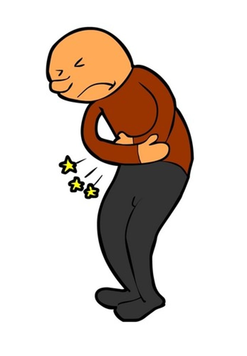 <p>Myalgia (muscle pain), cramps, stiffness, spasm, weakness affecting exercise tolerance;</p>