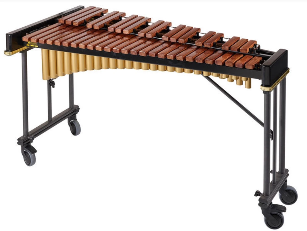 <p>Xylophone </p>