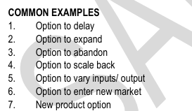 <p>REAL OPTIONS<br><br></p>