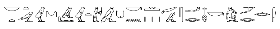 term image